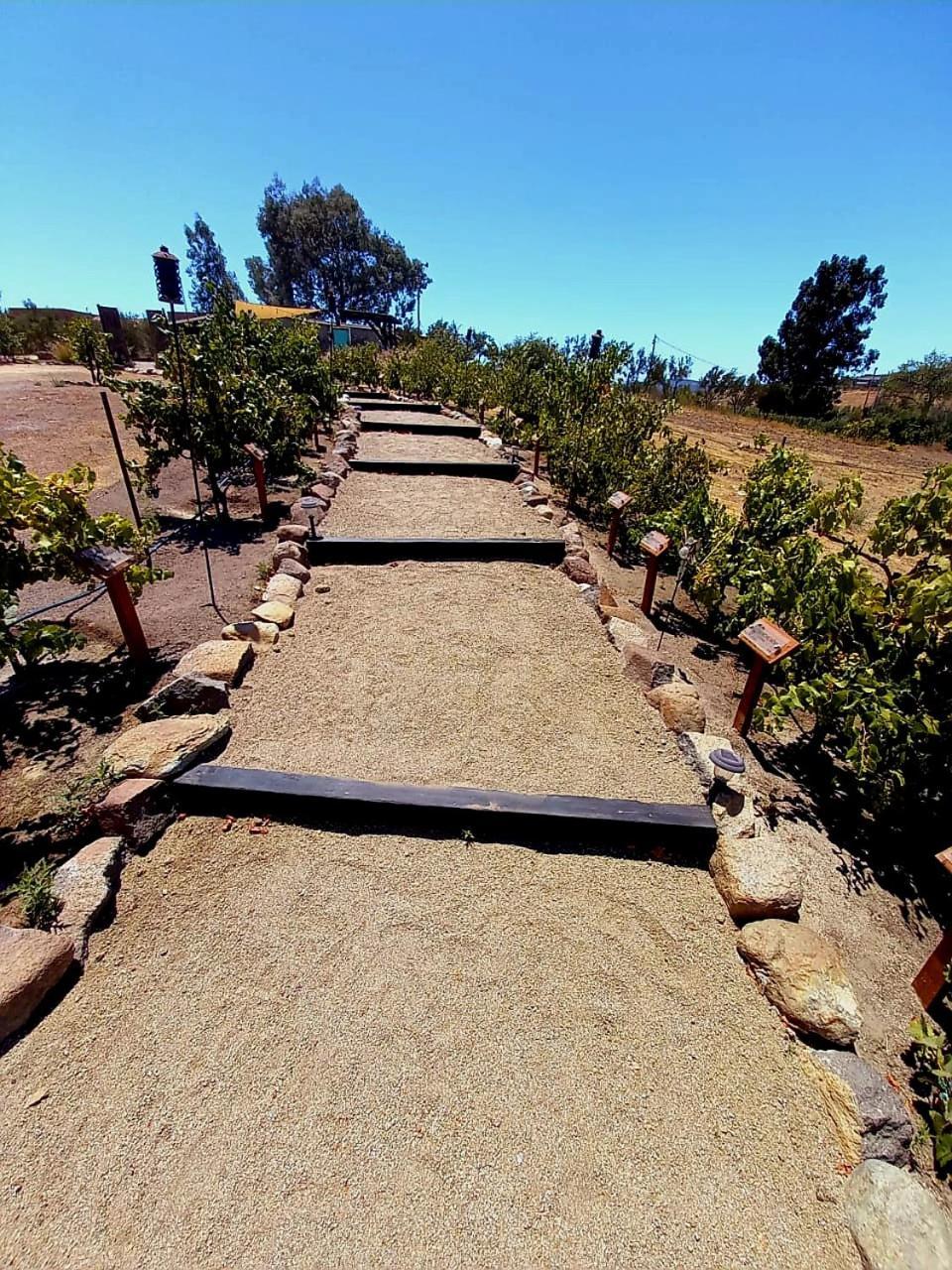 Finca Vidandrei Casa Eucalipto Guadalupe Eksteriør billede