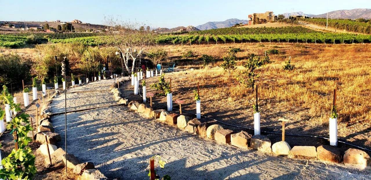 Finca Vidandrei Casa Eucalipto Guadalupe Eksteriør billede
